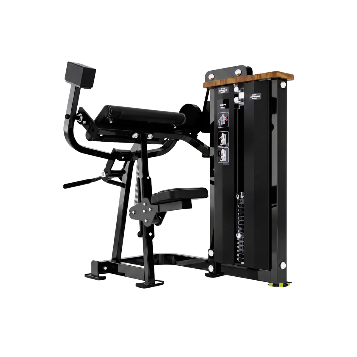 CURL DE BICEPS SM5030