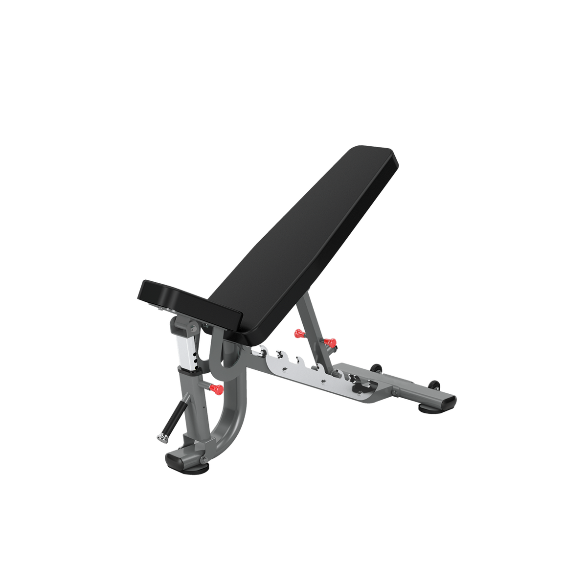 BANCA AJUSTABLE DR034